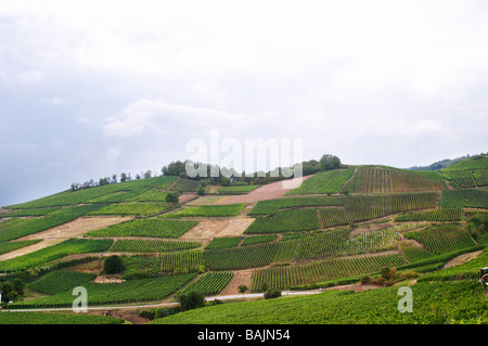 Marque gc turckheim alsace vignoble france Banque D'Images