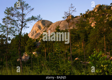 Les derniers rayons du soleil couchant sur les rochers en dessous de Dedza Montagne à Dedza, Malawi, Afrique Banque D'Images