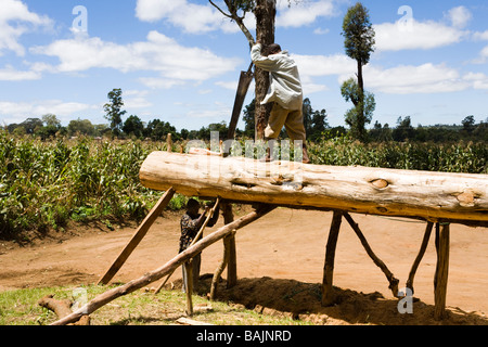 Pit sciant un journal à Dedza, Malawi, Afrique Banque D'Images