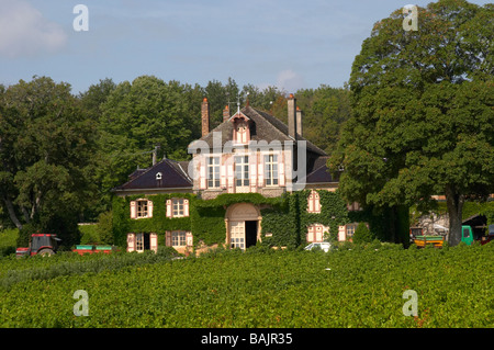 Vignoble Le clos des langres ardhuy nuits-Saint-georges cote de nuits bourgogne france Banque D'Images