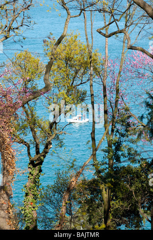 Vue sur le Bosphore à Istanbul à partir de Emirgan Park, Istanbul, Turquie (Türkiye), 2009 Banque D'Images