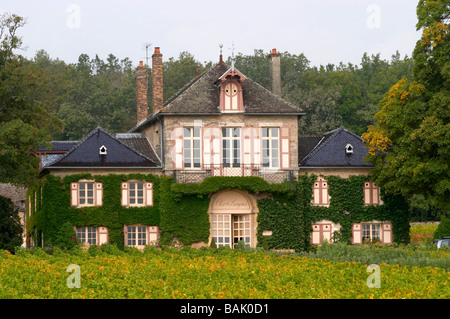 Vignoble Le clos des langres ardhuy nuits-Saint-georges cote de nuits bourgogne france Banque D'Images