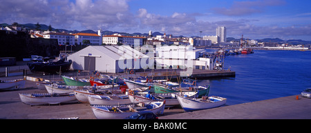 Les bateaux de pêche au port de Ponta Delgada. L'île de São Miguel. Archipel des Açores. Le Portugal. L'Atlantique. L'Europe Banque D'Images