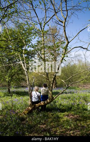 Deux femmes s'ASSEOIR SUR UN ARBRE à admirer la vue. Hillhouse Wood à West Bergholt près de Colchester Essex plein de jacinthes des bois au printemps Banque D'Images