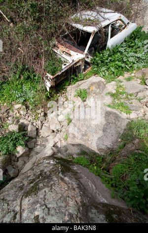 Ancien des années 1970 / années 1980, Toyota ou Datsun ruiné et abandonné dans un ruisseau. Banque D'Images