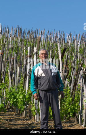 Gérard Bonnefond propriétaire Côte Rôtie domaine g bonnefond ampuis Rhône France Banque D'Images