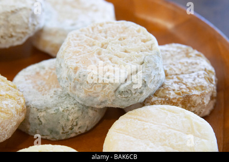 Le fromage saint Marcellin de dom une échéance variées voge cornas rhone france Banque D'Images