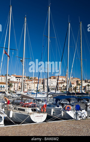 Yachts amarrés dans le port de Calvi Corse France Banque D'Images