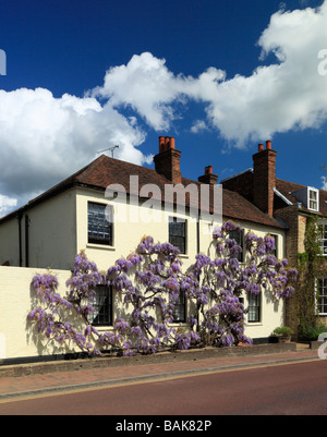 Wisteria sur le mur d'une maison en Brasted. Kent England UK. Banque D'Images