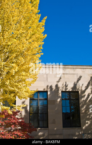 Distribution d'arbres ombre sur la construction Banque D'Images