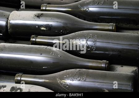 Vieilles bouteilles dans la cave avec une bouteille de secours moulée sur le cou domaine du vieux lazaret chateauneuf du pape rhone france Banque D'Images