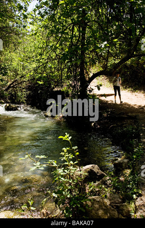 La rivière Majaceite à Benamahoma Grazalema sierra de villages blancs Cadix, Espagne Banque D'Images