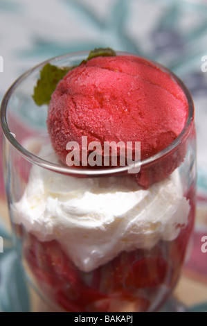 Sorbet framboise dessert restaurant le verger des papes Châteauneuf du Pape rhone france Banque D'Images