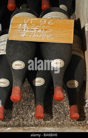 De vieilles bouteilles en cave 1996 dom du vieux télégraphe Châteauneuf du Pape rhone france Banque D'Images