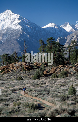 Les sentiers de l'athlète dans les collines de la partie Est de la Sierra Montagnes California USA Banque D'Images