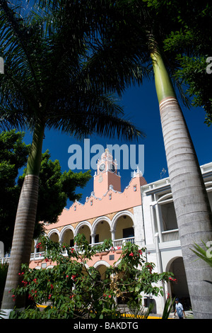 Hôtel de ville de Merida Mexique Banque D'Images