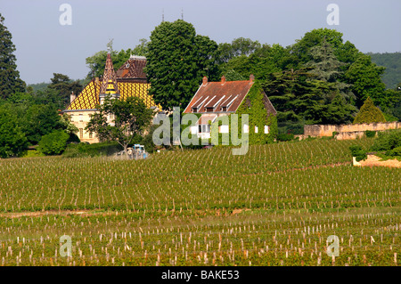 Ch vignoble de corton André aloxe-corton Côte de beaune bourgogne france Banque D'Images