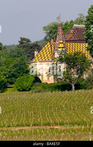 Ch vignoble de corton André aloxe-corton Côte de beaune bourgogne france Banque D'Images