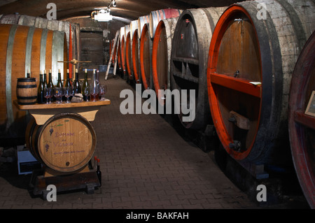 Cuves bois salle de dégustation en cave domaine du vissoux beaujolais bourgogne france Banque D'Images