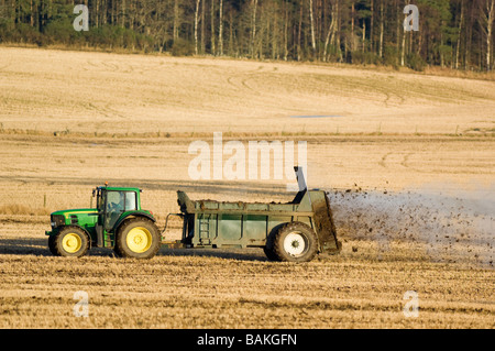 Agriculteur avec un tracteur, l'épandage de fumier sur un champ de chaume, l'Aberdeenshire. Banque D'Images