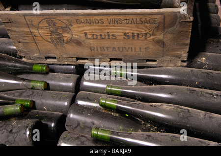 Vieilles bouteilles dans la cave. dom louis sipp ribeauvillé alsace france Banque D'Images