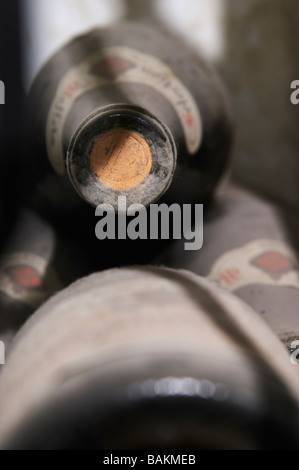 Vieilles bouteilles dans la cave domaine roger sabon Châteauneuf du Pape rhone france Banque D'Images