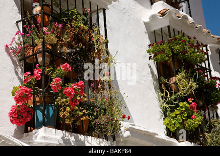 Auvent avec des fleurs dans le village blanc de Grazalema sierra de cadiz, andalousie espagne Banque D'Images