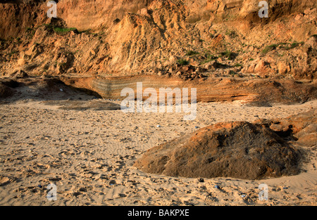 Base de l'érosion de falaises d'Happisburgh, Norfolk, UK, montrant section exposée de strates d'argile. Banque D'Images