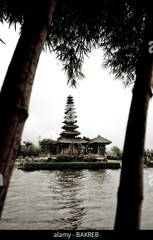 L'INDONÉSIE, Bali. Bedugul, le lac Bratan. Pura Ulu Danu temple, bambous. Banque D'Images