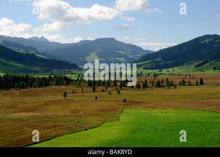 Mire paysage avec montagnes au loin en arrière-plan Banque D'Images