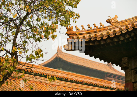 Les toits de Forbidden City Beijing Banque D'Images