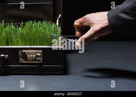 Personne coupé de l'herbe en porte-documents Banque D'Images