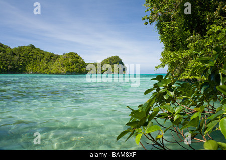 Des îles du Pacifique de Palau Micronésie Palau Banque D'Images