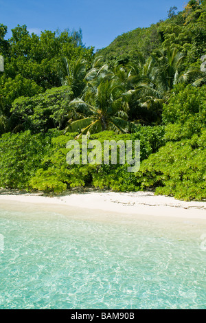 Tropical Beach Pacific Micronésie Palau Banque D'Images