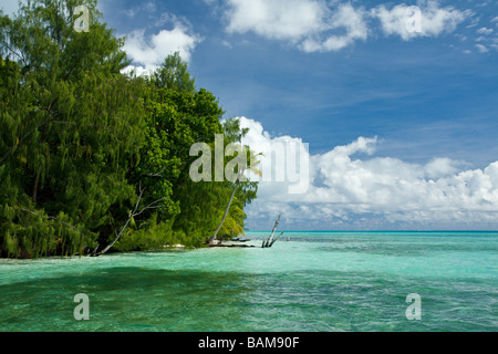 Tropical Beach Pacific Micronésie Palau Banque D'Images