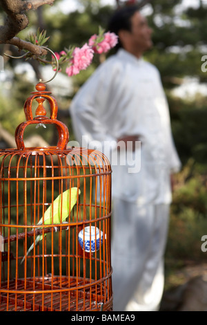 Man Holding oiseau en cage, Cage se concentrer sur Banque D'Images