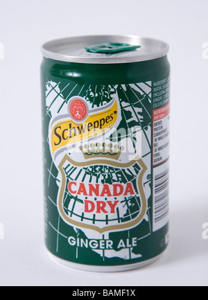 Petit pouvez ginger schweppes 'canada dry' Banque D'Images