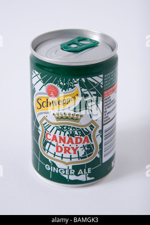 Petit pouvez ginger schweppes 'canada dry' Banque D'Images