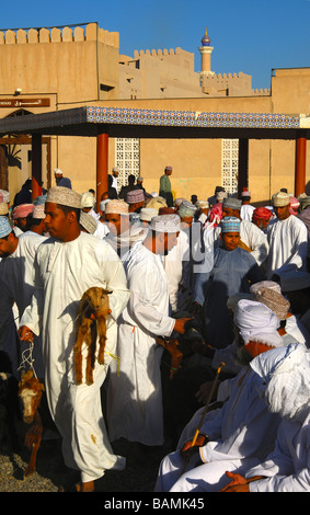 Les hommes habillés en costume traditionnel omanais le Dishdasha chèvre sur la place du marché, Nizwa, Sultanat d'Oman Banque D'Images