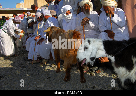 Les hommes habillés en costume traditionnel omanais le Dishdasha chèvre sur la place du marché, Nizwa, Sultanat d'Oman Banque D'Images