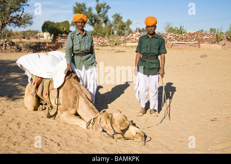 Chameliers d'Osian Camp chameau debout à côté d'un chameau, d'Osian, Rajasthan, Inde Banque D'Images