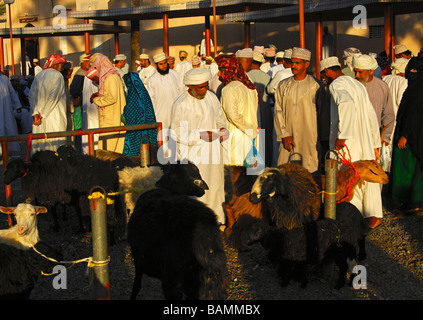 Les hommes habillés en costume traditionnel omanais le Dishdasha chèvre sur la place du marché, Nizwa, Sultanat d'Oman Banque D'Images