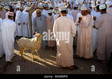 Les hommes habillés en costume traditionnel omanais le Dishdasha chèvre sur la place du marché, Nizwa, Sultanat d'Oman Banque D'Images