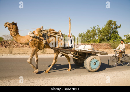 Homme monté sur un chariot de chameau le long d'une route, entre et d'Osian Jodhpur, Rajasthan, India Banque D'Images