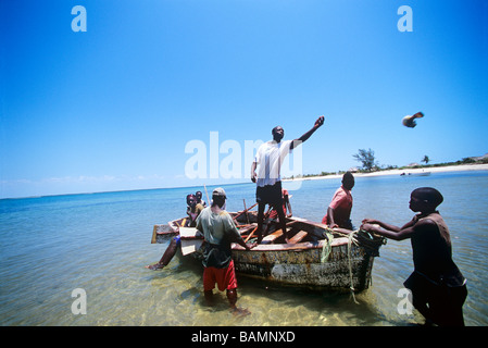 Déchargement de captures des pêcheurs au filet maillant Inhassoro Mozambique Banque D'Images
