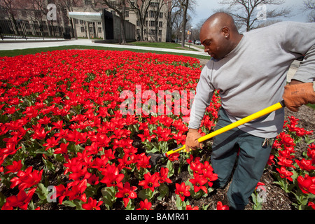 Gardien à l'Université de Chicago Banque D'Images