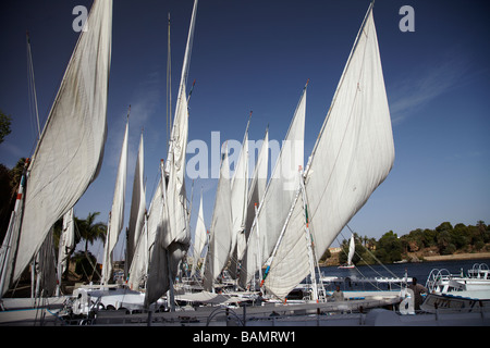 Bateau à voile felouque sur le Nil près d'Assouan, Egypte Banque D'Images