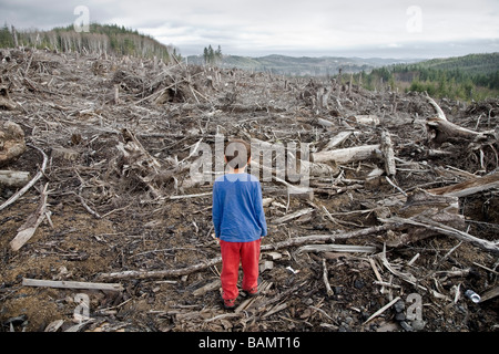 Jeune garçon regardant la forêt coupée claire Banque D'Images