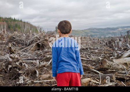 Jeune garçon regardant la forêt coupée claire Banque D'Images