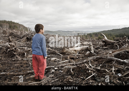 Jeune garçon regardant la forêt coupée claire Banque D'Images